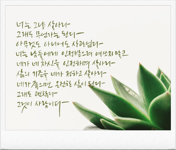  270번째 선물 - 삶의 기준과 원칙을 스스로 정하라.