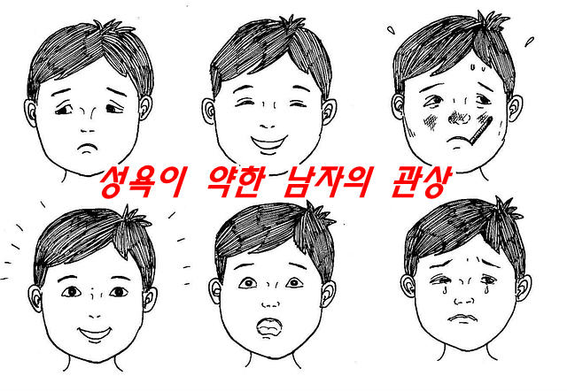  성욕이 약한 남자의 관상 및 수상