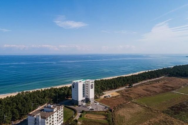  아비오 호텔