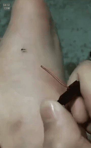  모기를 퇴치하는 모기기피 램프 등장!