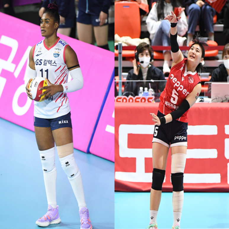  여자배구 GS칼텍스 페퍼저축은행 11월19일 경기예상(모마 강소휘 오지영 엘리자벳 박경현 문슬기)