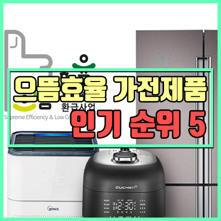  으뜸효율 가전제품 인기 추천 순위 베스트 5 [카드 추가할인 최대20%]