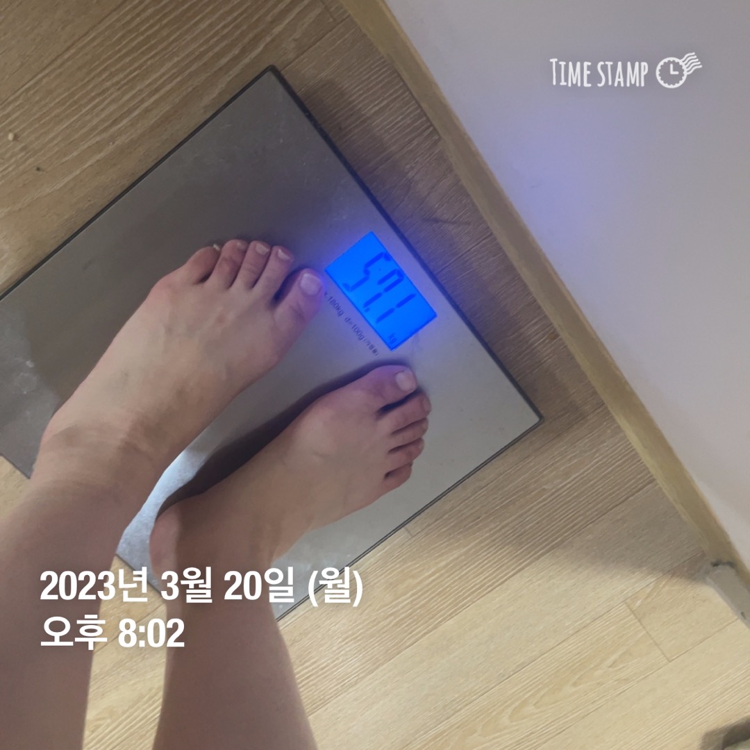  [다이어트 리뷰 -0일차]다이어트 시작