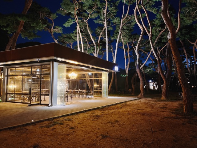 [소울로스터리 카페] 춘천 소나무숲 카페, 야외좌석이 더 인기많은 진짜 조녜카페