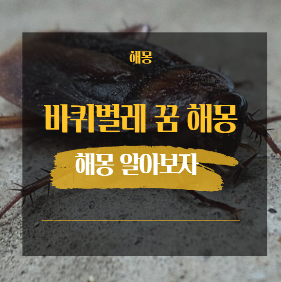 바퀴벌레꿈 해몽 모음 24가지