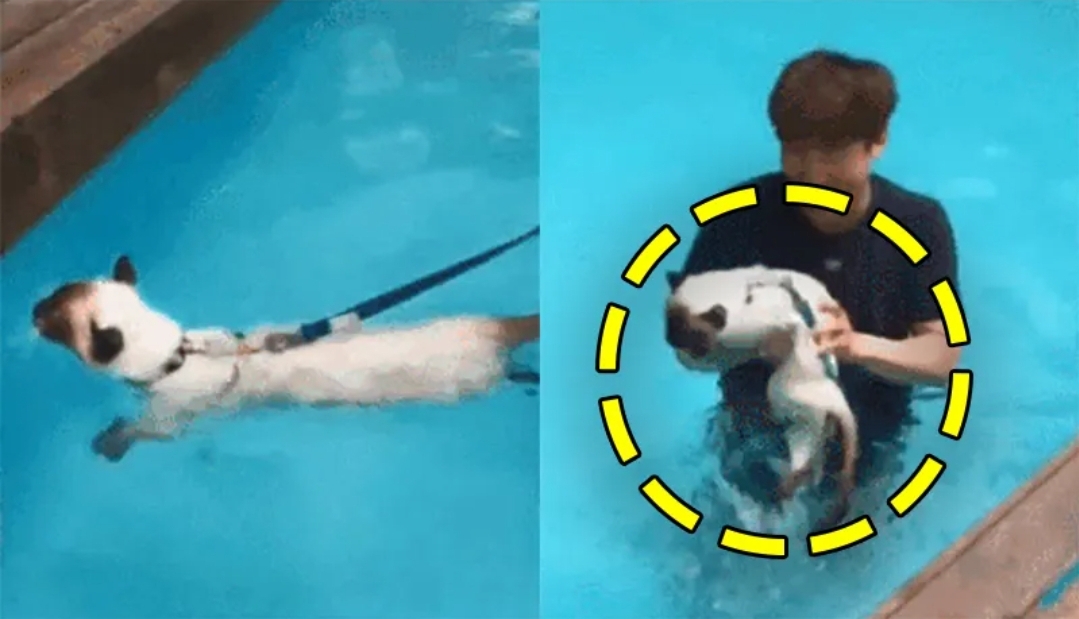  고양이 학대 하며 웃던 이기영, 살해 직전까지 동거녀와 여행 ‘소름’