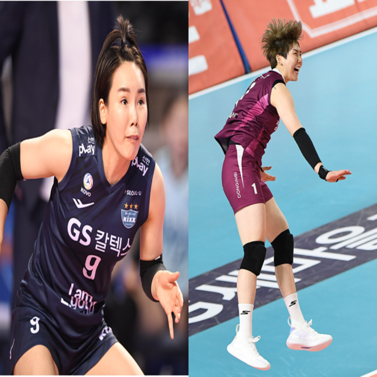  여자배구 GS칼텍스 인삼공사 11월30일 경기예상(이소영더비2차전 모마 권민지 최은지 박혜민 한송이 옐레나)