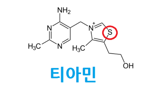  티아민? 숙취에 도움되는 비타민