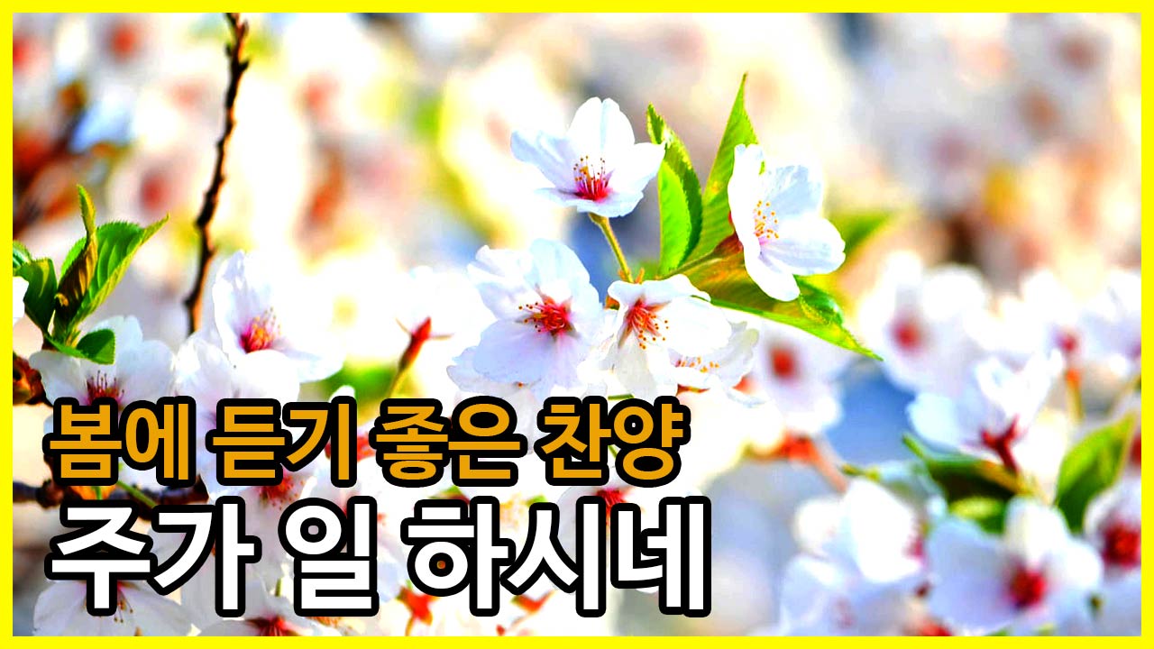  주가일하시네 피아노연주곡 봄에듣기 좋은CCM연주곡 추천