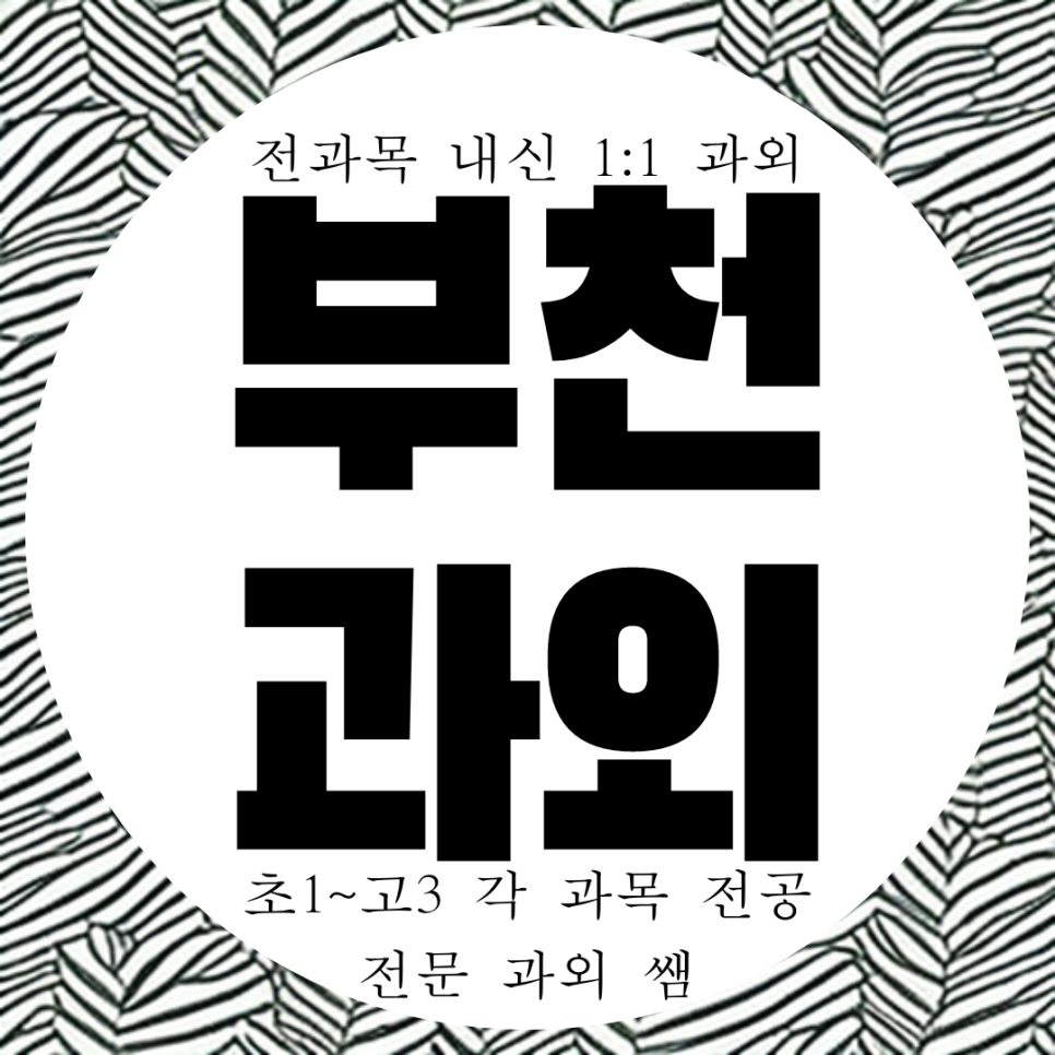  부천 고등 고2 전과목 상동 고1 영수 과외 중등 중학생. 상원고 내신 전문 과외.