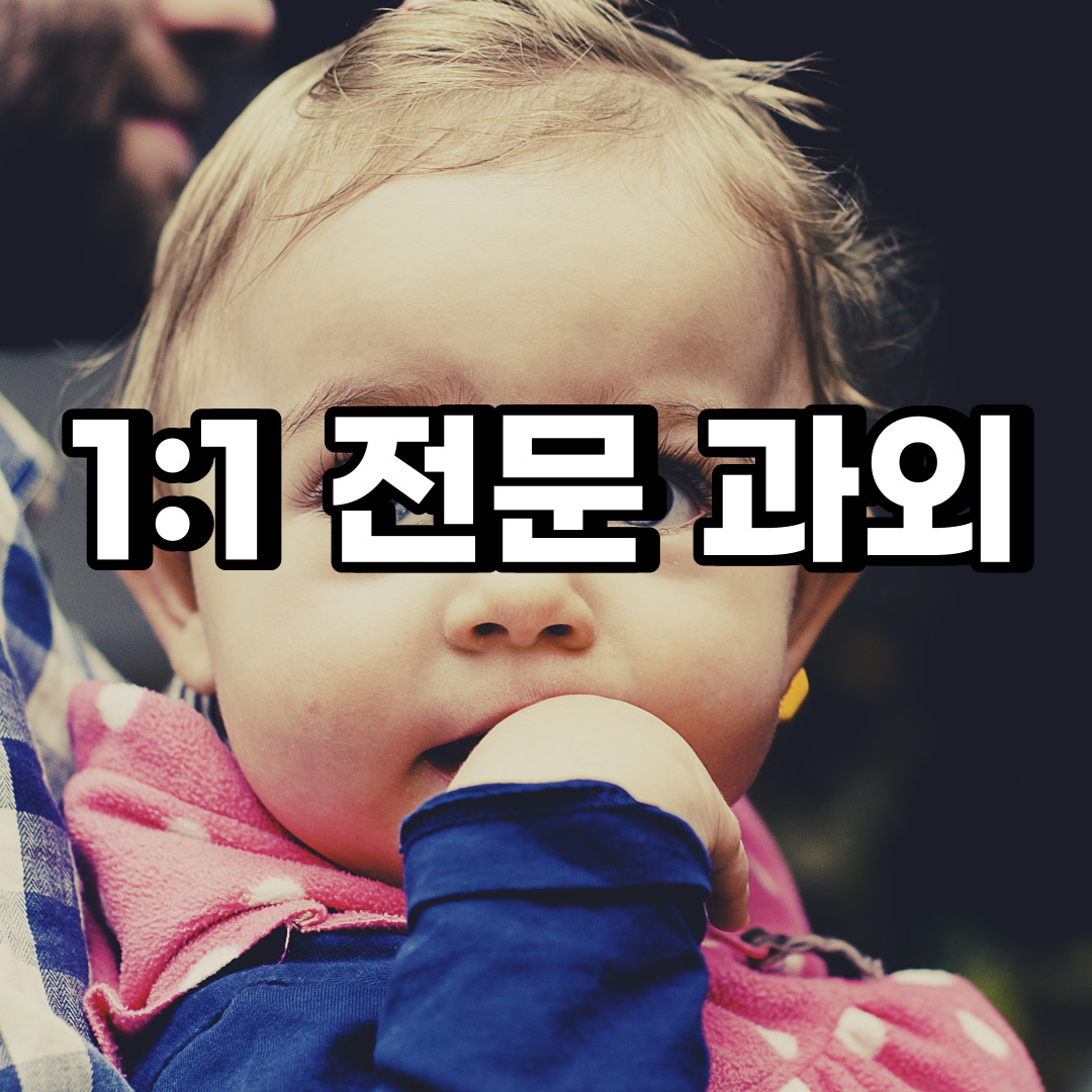  안성 초등 영어과외 서운면 미양면 중등 고등 국어 수학과외 검정고시