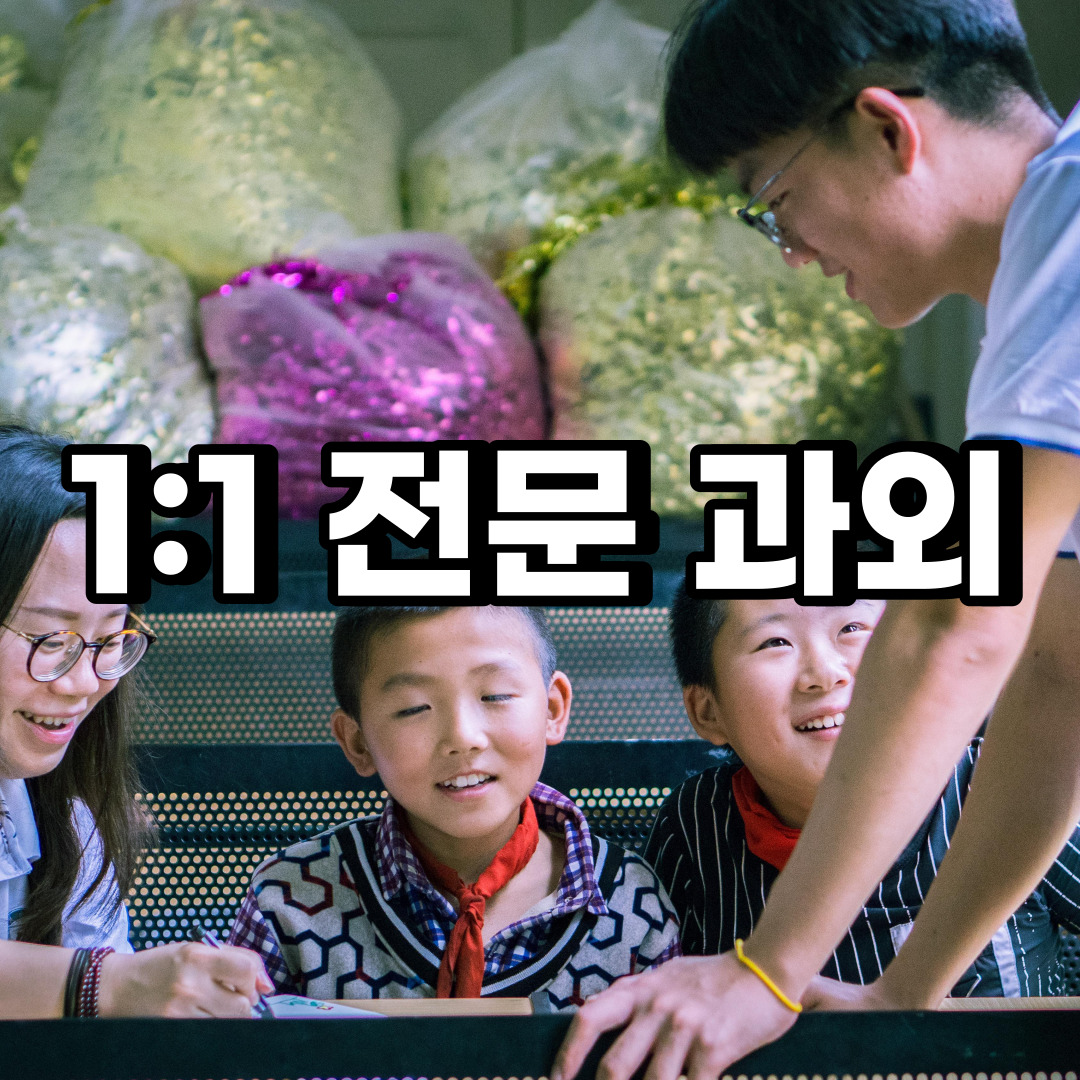  태안 초등 영어과외 청주 충주 중학생 중등 고등 국어 수학과외