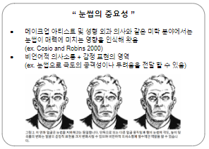  [논문] Face Recognition by Humans:Nineteen Results All Computer Vision Researchers Should Know About