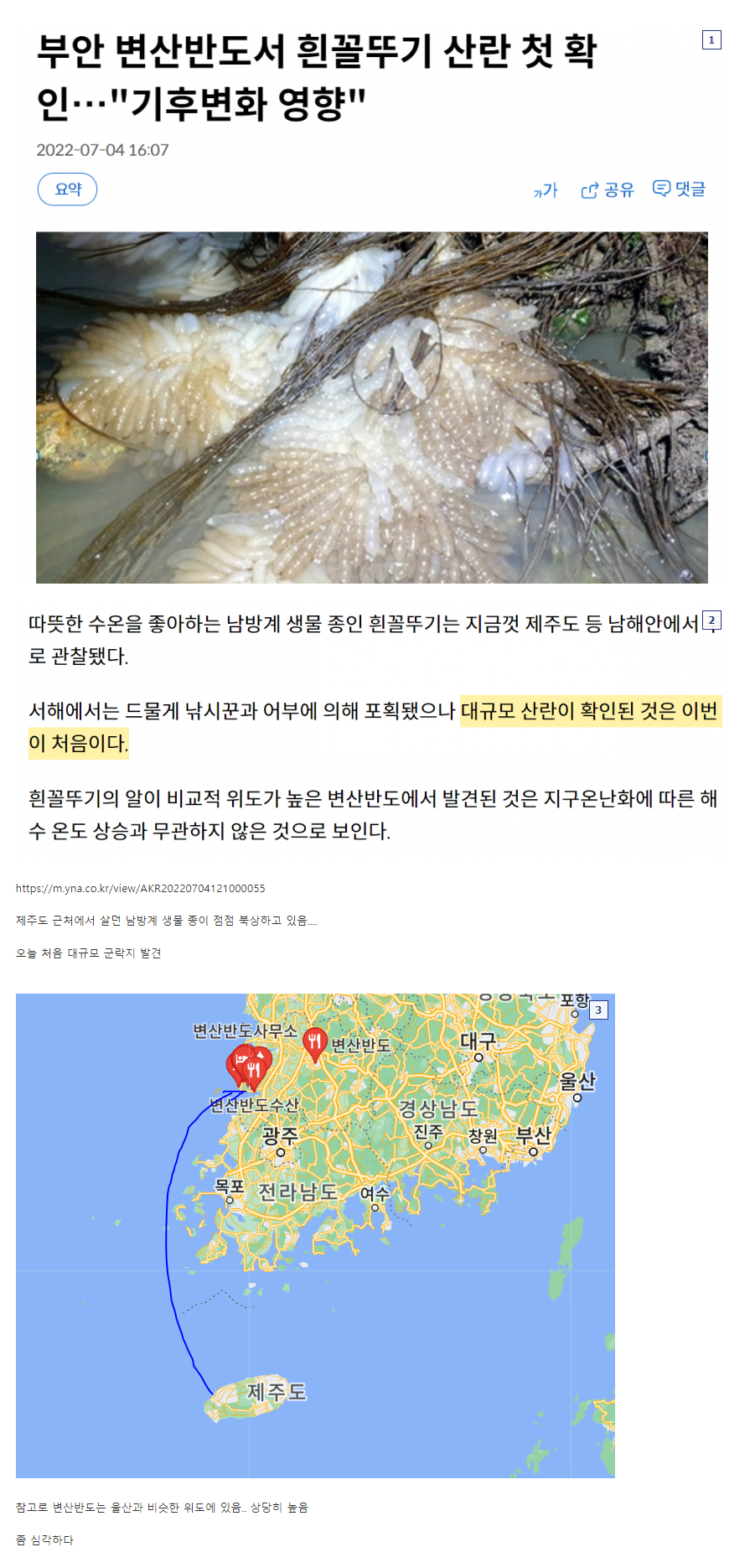  열대 오징어 근황...
