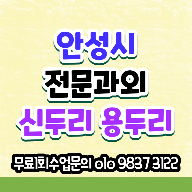  안법고등학교 영어과외 구포동 근처 직장인 취업준비 중국어 오픽 기초일본어 비즈니스회화