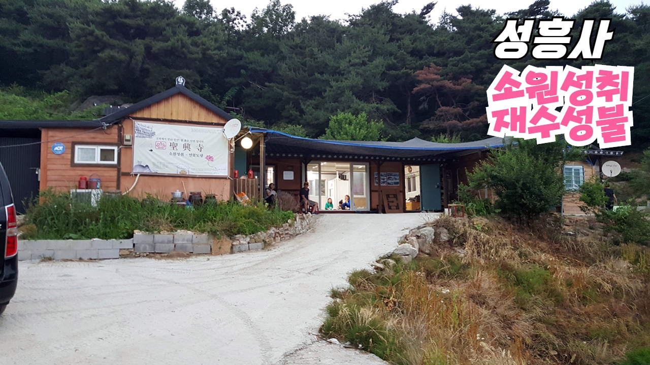  세종시점집 성흥사! 알고나니 후련해요 #2021년 #신축년 #신년운세