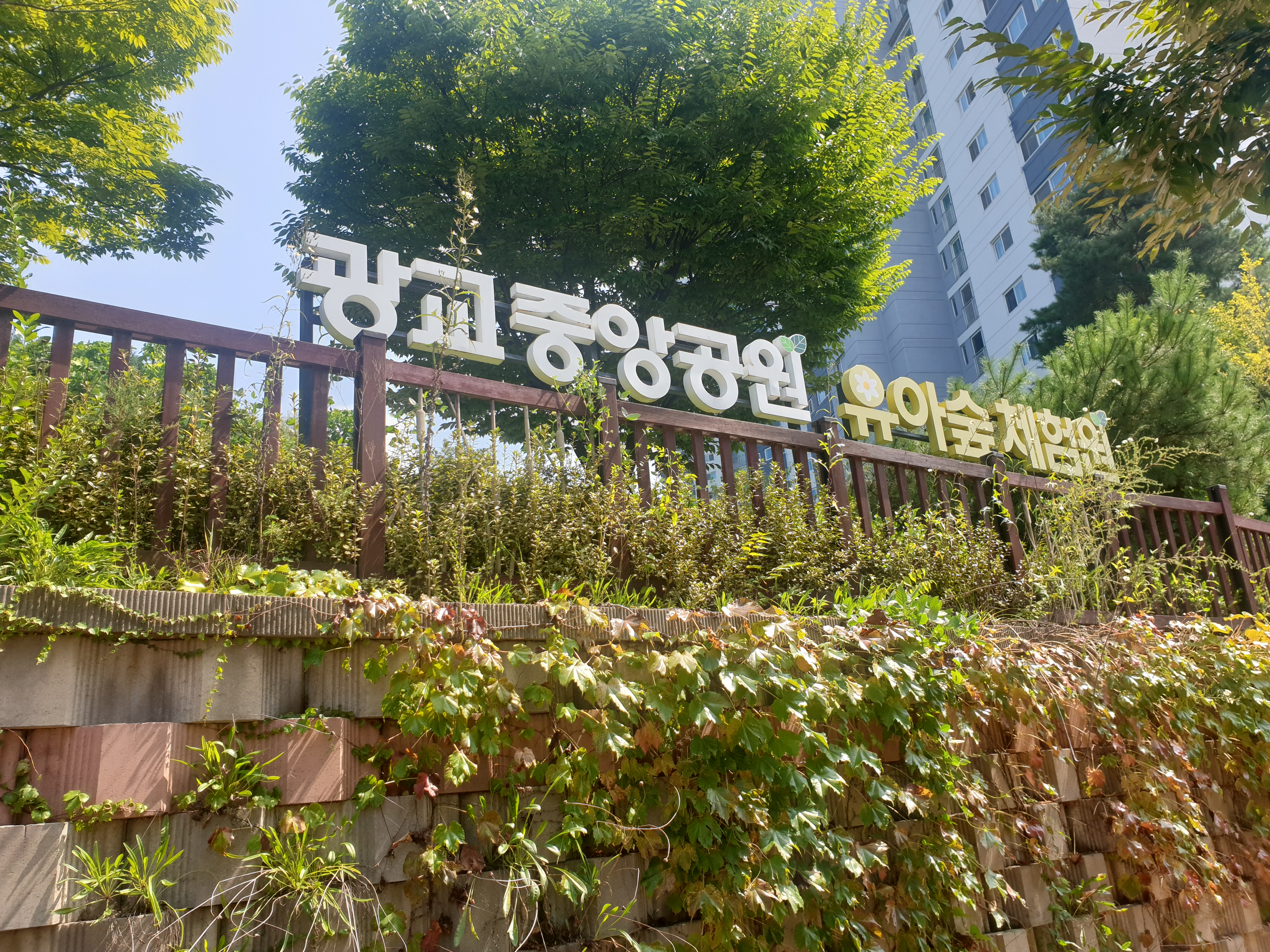  광교중앙공원 유아숲체험원