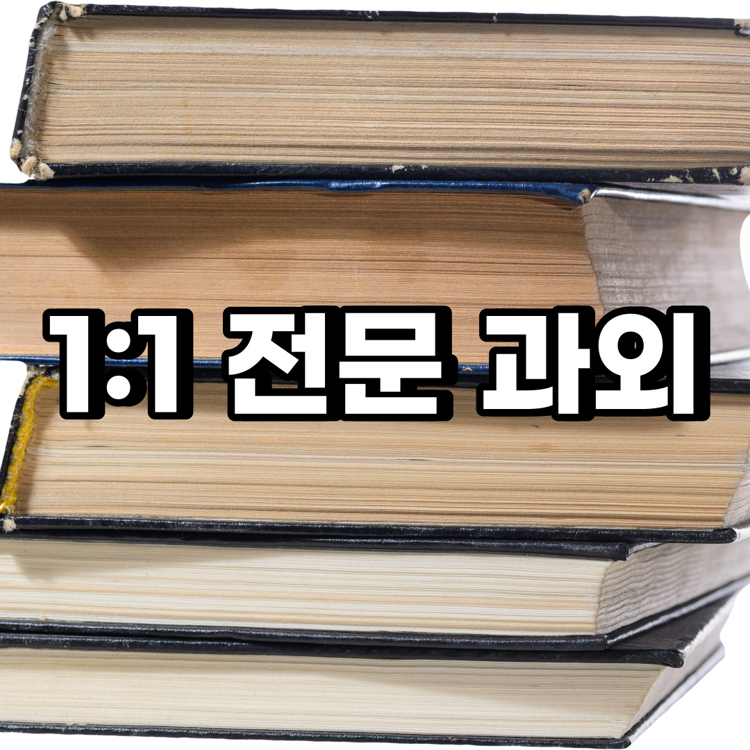 강서구 초등 영어과외 과해동 오곡동 중등 고등 국어 수학과외
