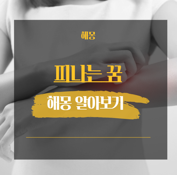  피나는 꿈 해몽 해석 모음 [ 피흘리는 피나는 다치는 등 ]