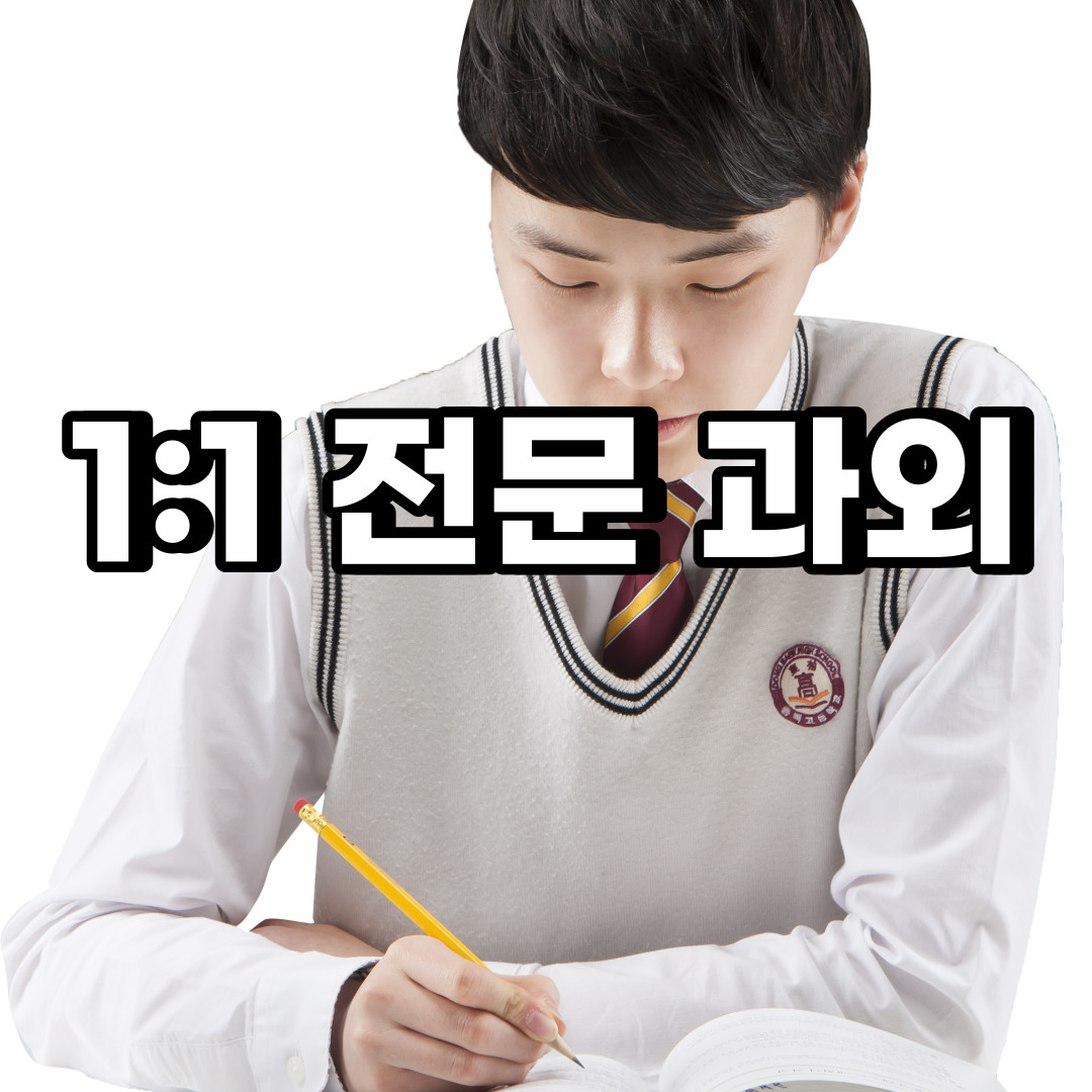  평택 초등 영어과외 가재동 장안동 중등 고등 국어 수학과외 검정고시