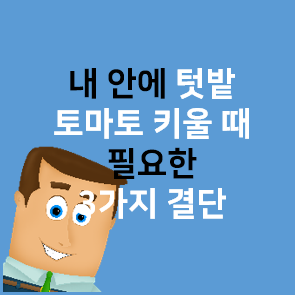  내안의 텃밭 - 토마토 키울때 필요한 3가지 결단