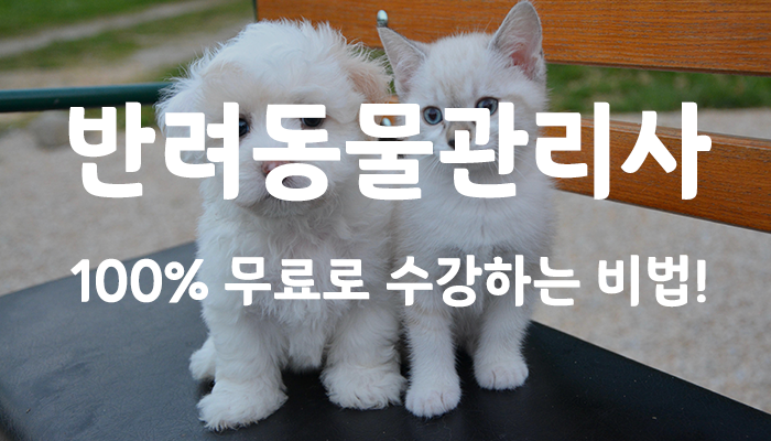  반려동물관리사 자격증 한국능률교육평가원에서 무료수강 100%로!