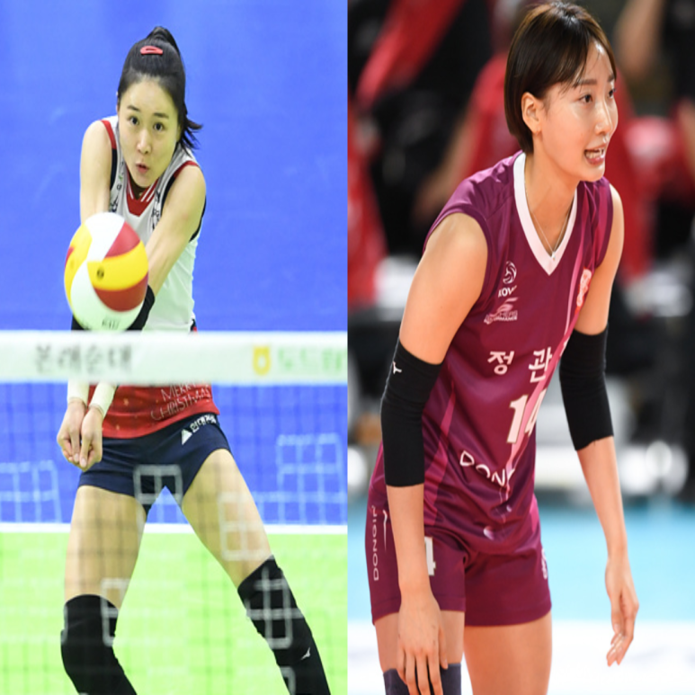  여자배구 현대건설 인삼공사 1월 4일 경기예상(양효진 야스민 황민경 옐레나 정호영 이소영)