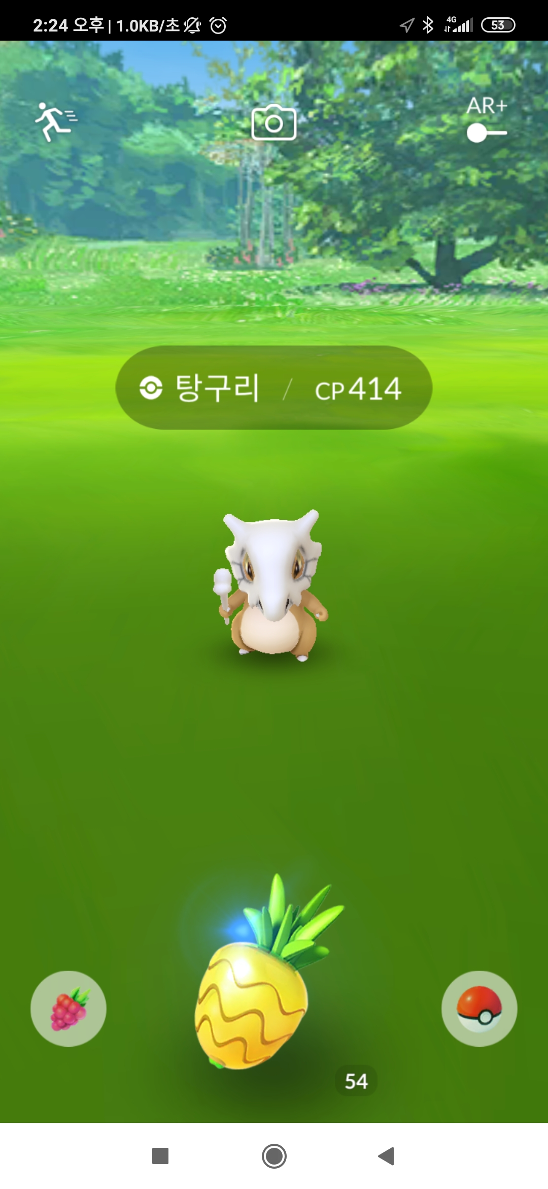  포켓몬고 퀘스트용 탕구리 포획 하는법