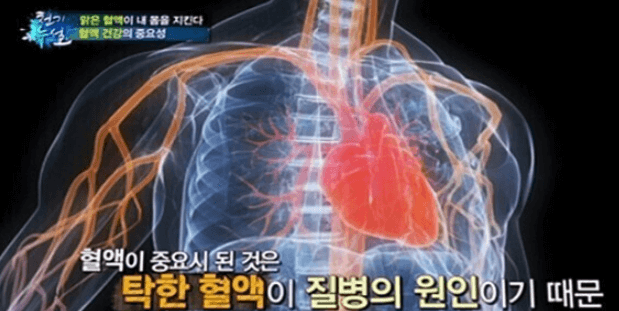  혈관 청소에 좋은 음식 10가지 알려드립니다!