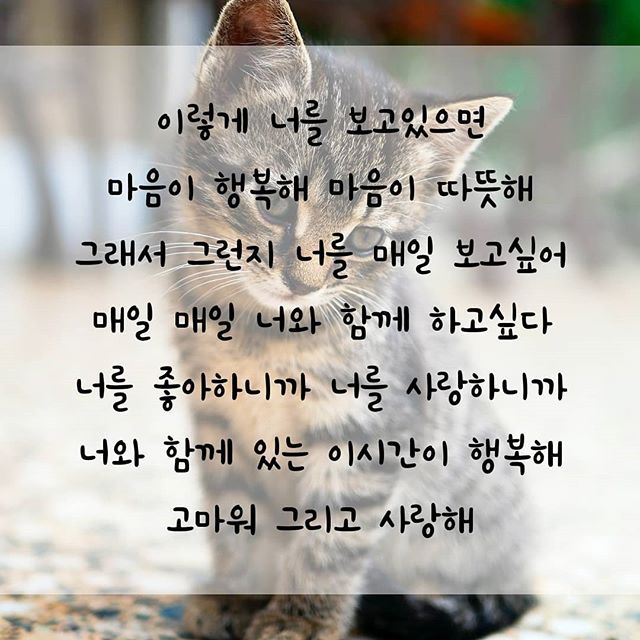  인스타 이야기 ~~