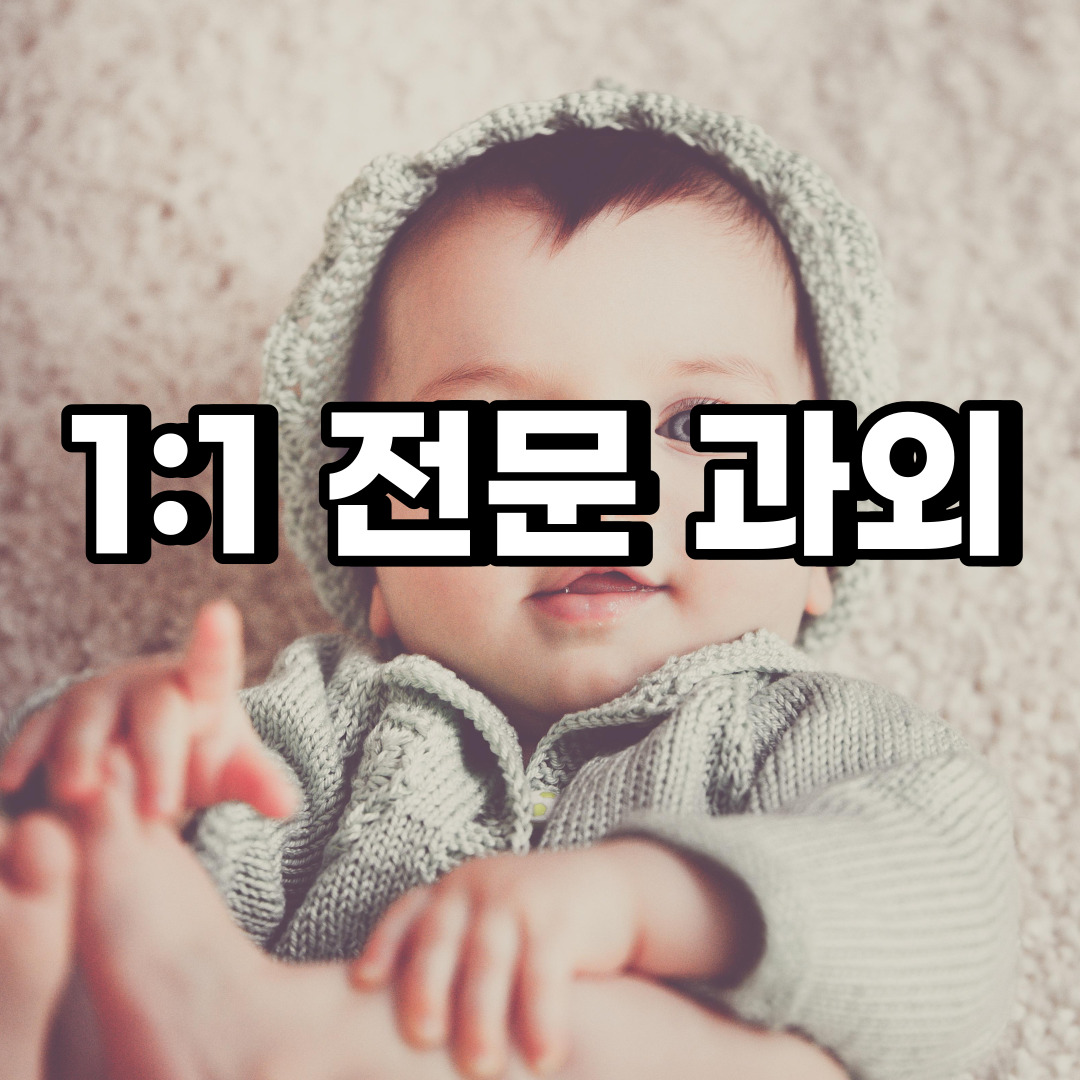  안성 초등 영어과외 당왕동 가사동 중등 고등 국어 수학과외 검정고시