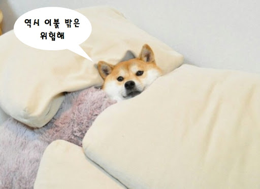  추위극복 따끈따끈 USB 전기담요.  20가지 꿀템