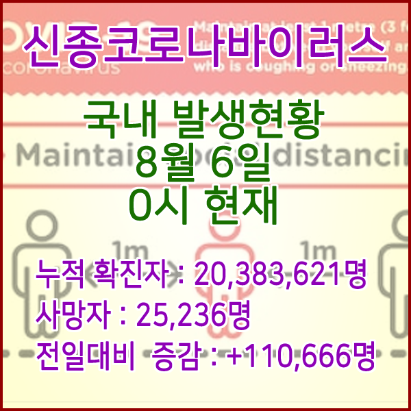  코로나19(코로나바이러스) 8월 6일 0시 신규확진자 110,666명 / 사망자 25,236명