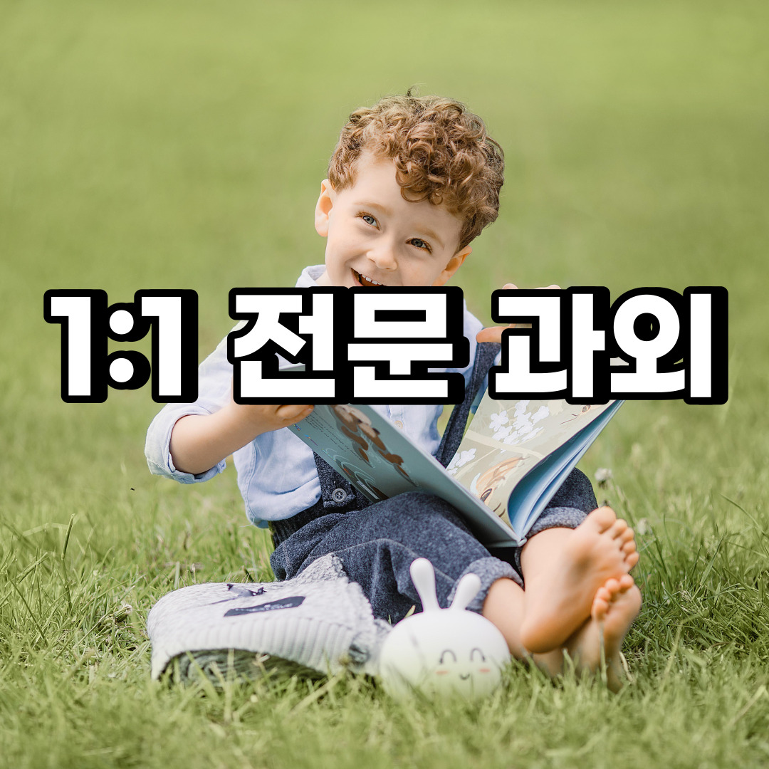  일산동구 초등 영어과외 정발산동 장항동 중등 고등 국어 수학과외 검정고시