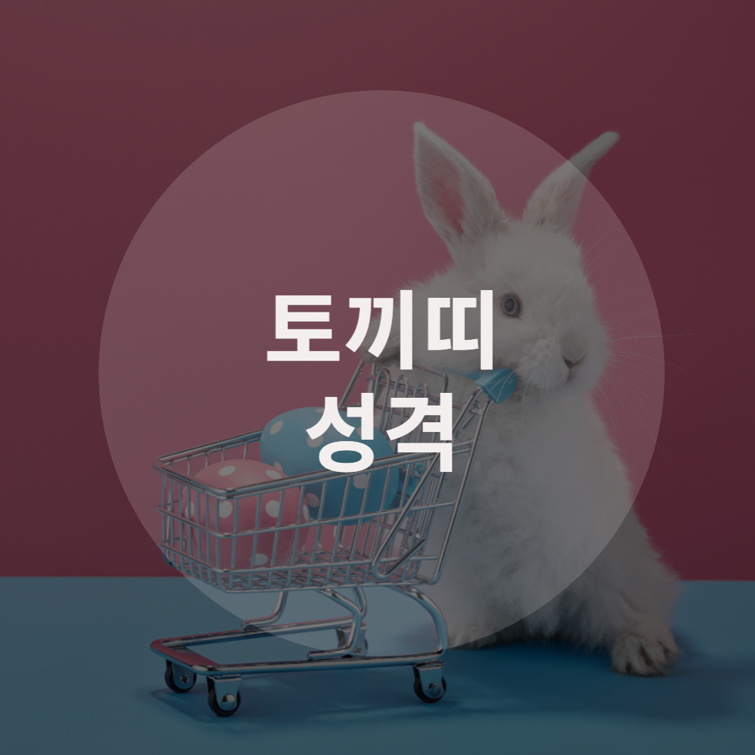  토끼띠로 알아보는 성격은?