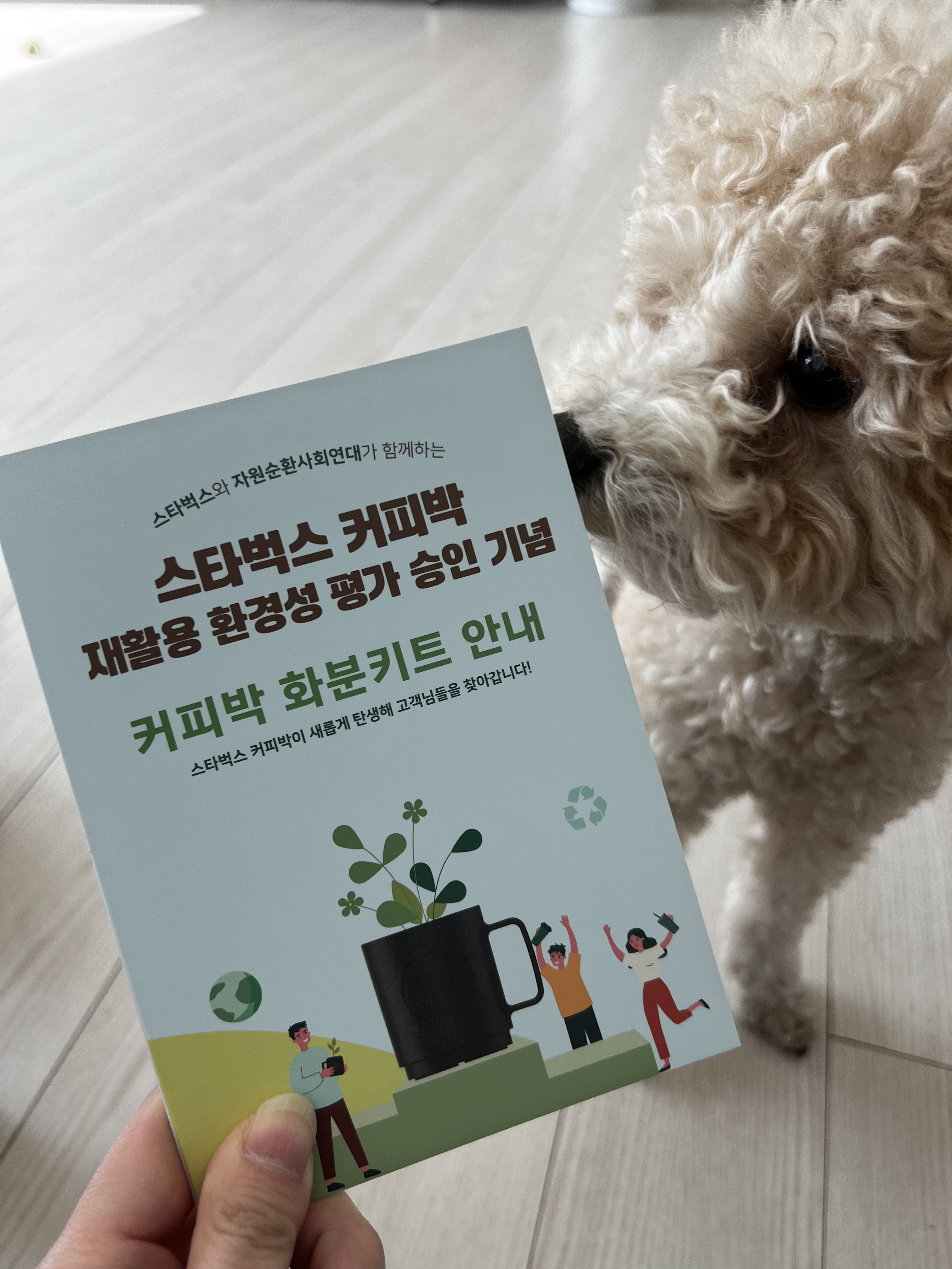  스타벅스 친환경 커피박 화분키트 키우기 