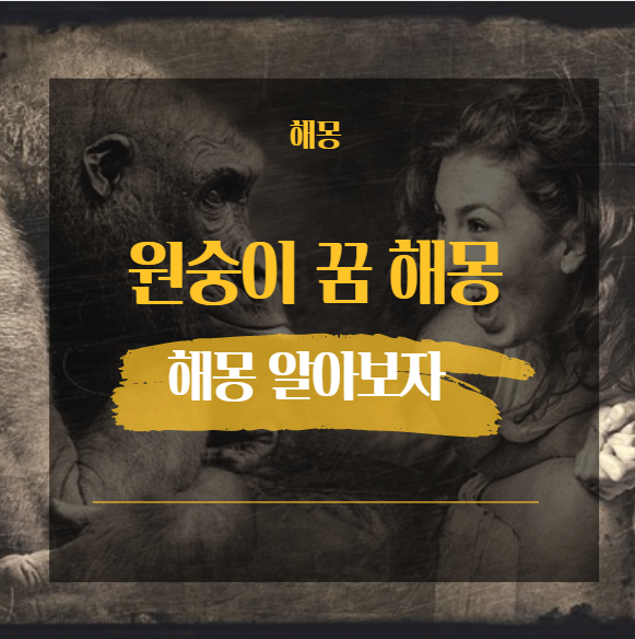  원숭이 꿈 해몽 모음 / 싸우는 떨어지는 바나나