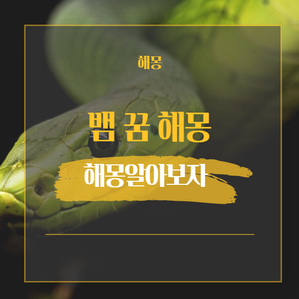  뱀 꿈 해몽 해석 모음 태몽/일반꿈 50가지