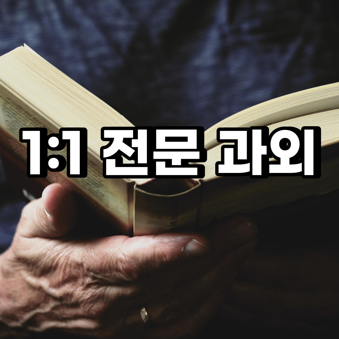  덕양구 초등 영어과외 현천동 덕은동 중등 고등 국어 수학과외 검정고시