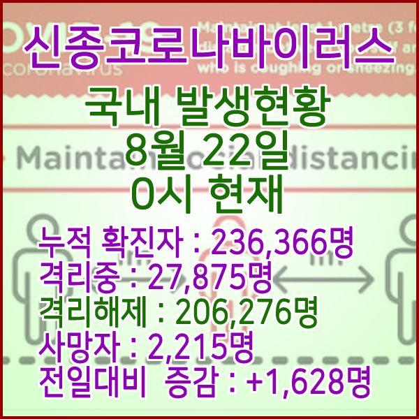  코로나19(코로나바이러스) 8월 22일 0시 국내(해외포함) 발병 236,366명 / 206,276명 완치 격리해제 / 사망자 2,215명