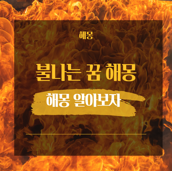  불나는 꿈 해몽 알아보기 20가지 [ 집 산 나무 비행기 하늘 건물 옷 ]