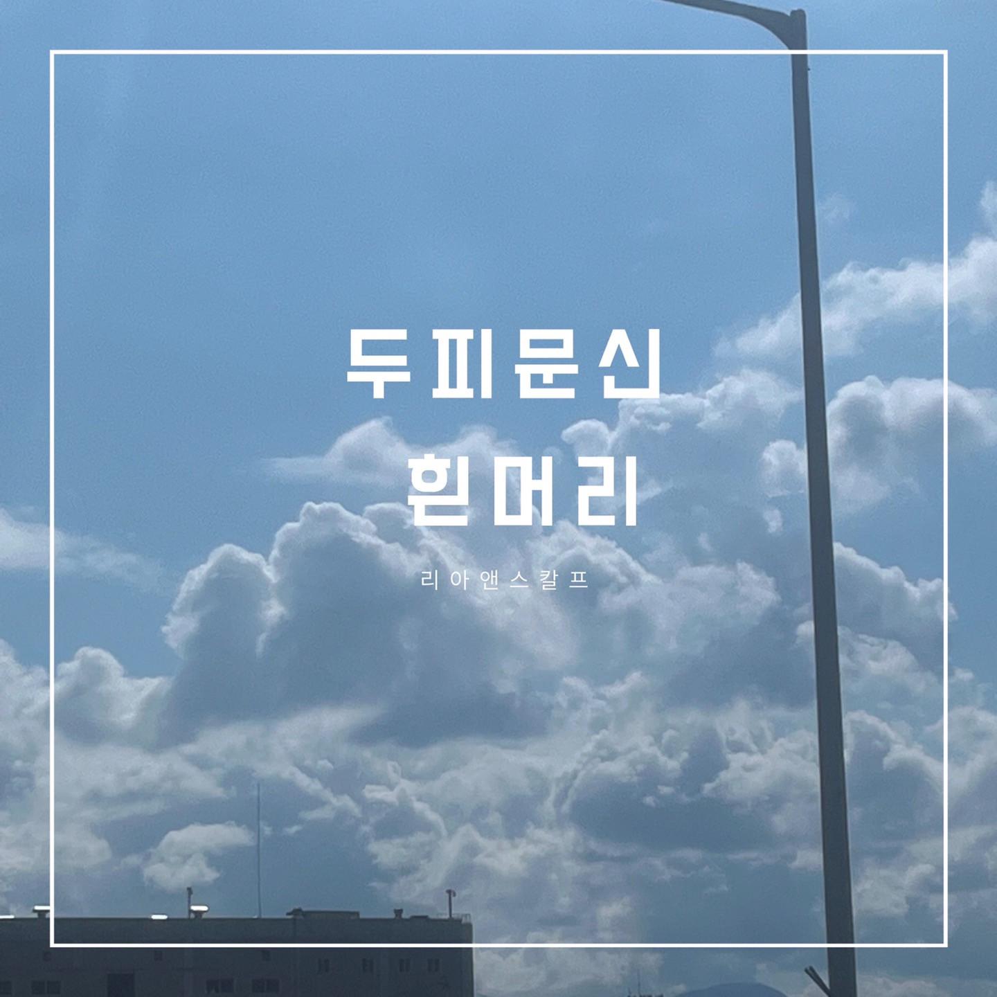  대구두피문신잘하는곳/리아앤스칼프/흰머리
