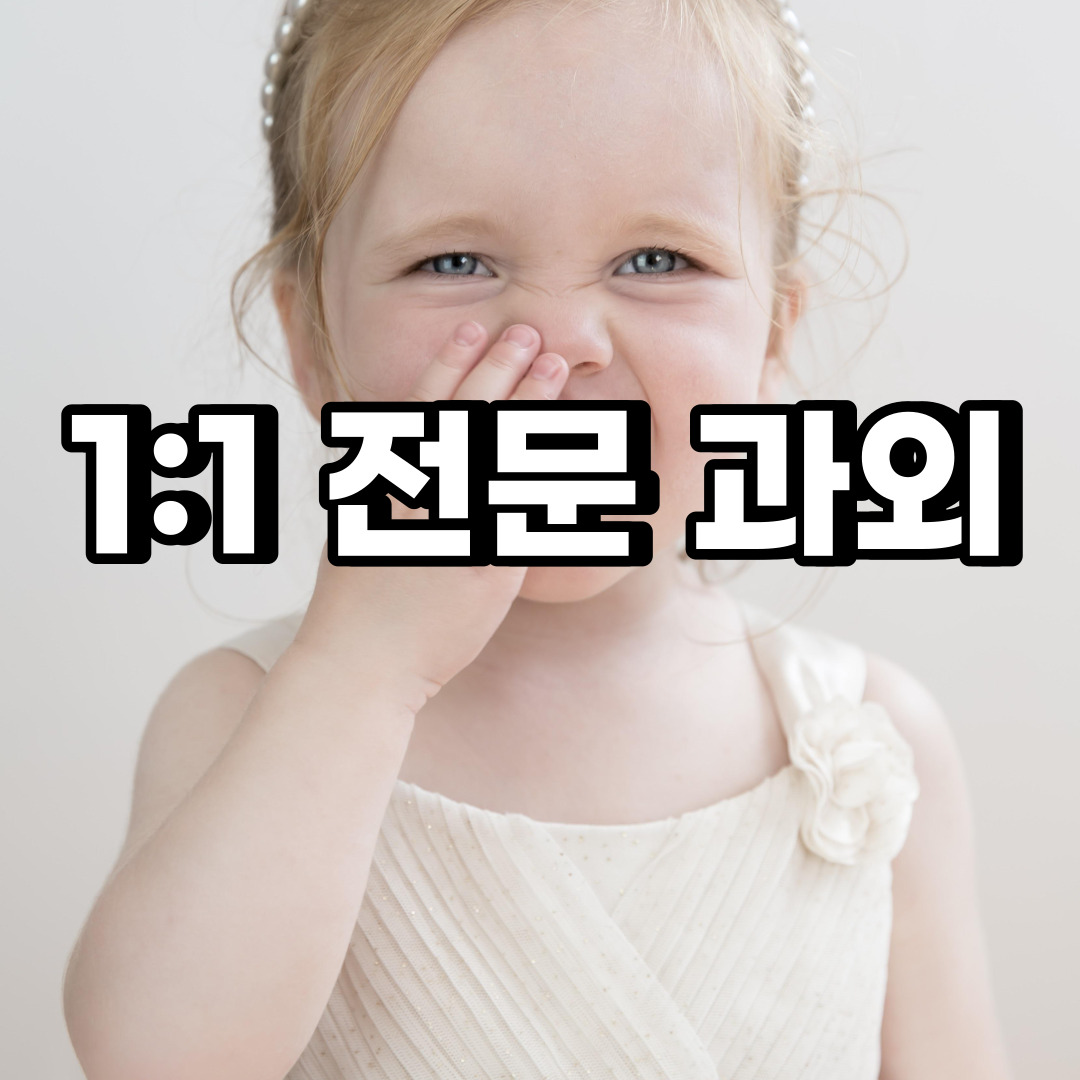  화성 초등 영어과외 기안동 송산동 중등 고등 국어 수학과외 검정고시