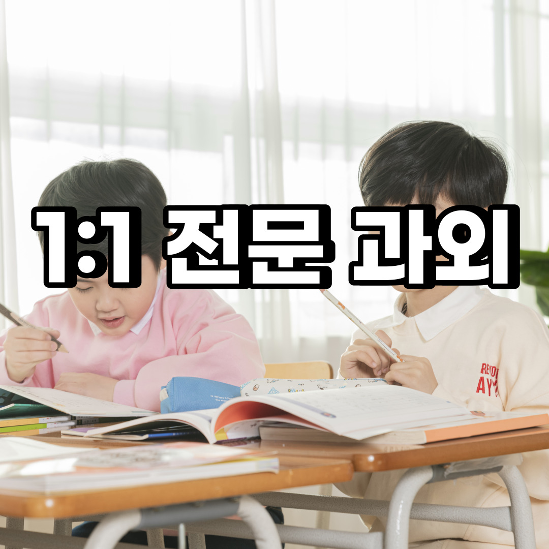  남양주 초등 영어과외 진접읍 화도읍 중등 고등 국어 수학과외 검정고시