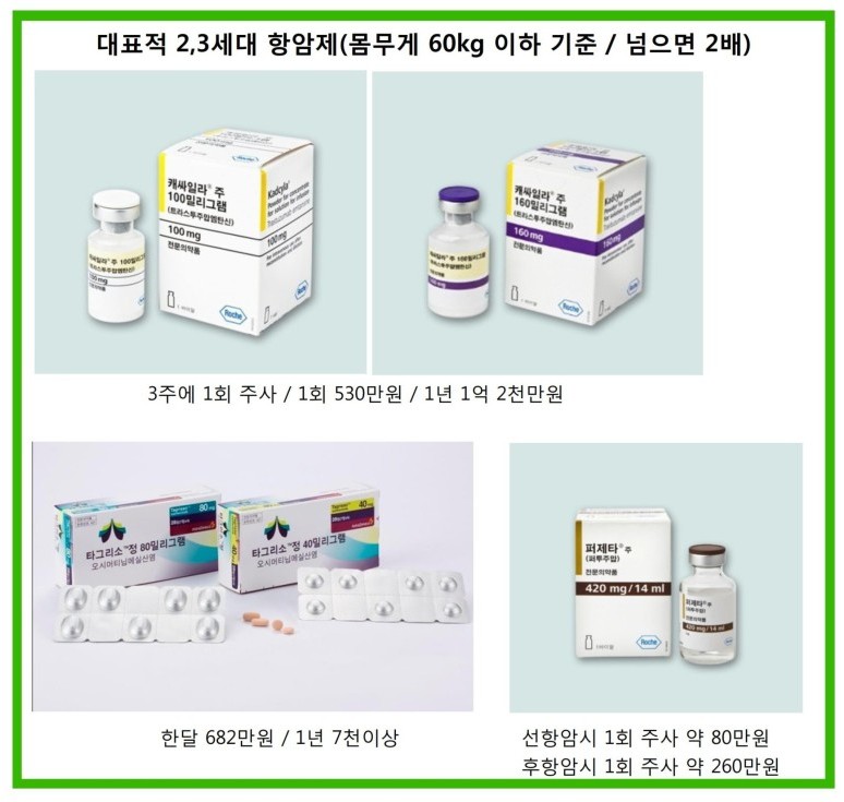  표적항암제(면역항암치료비용) 암치료의 새로운 패러다임