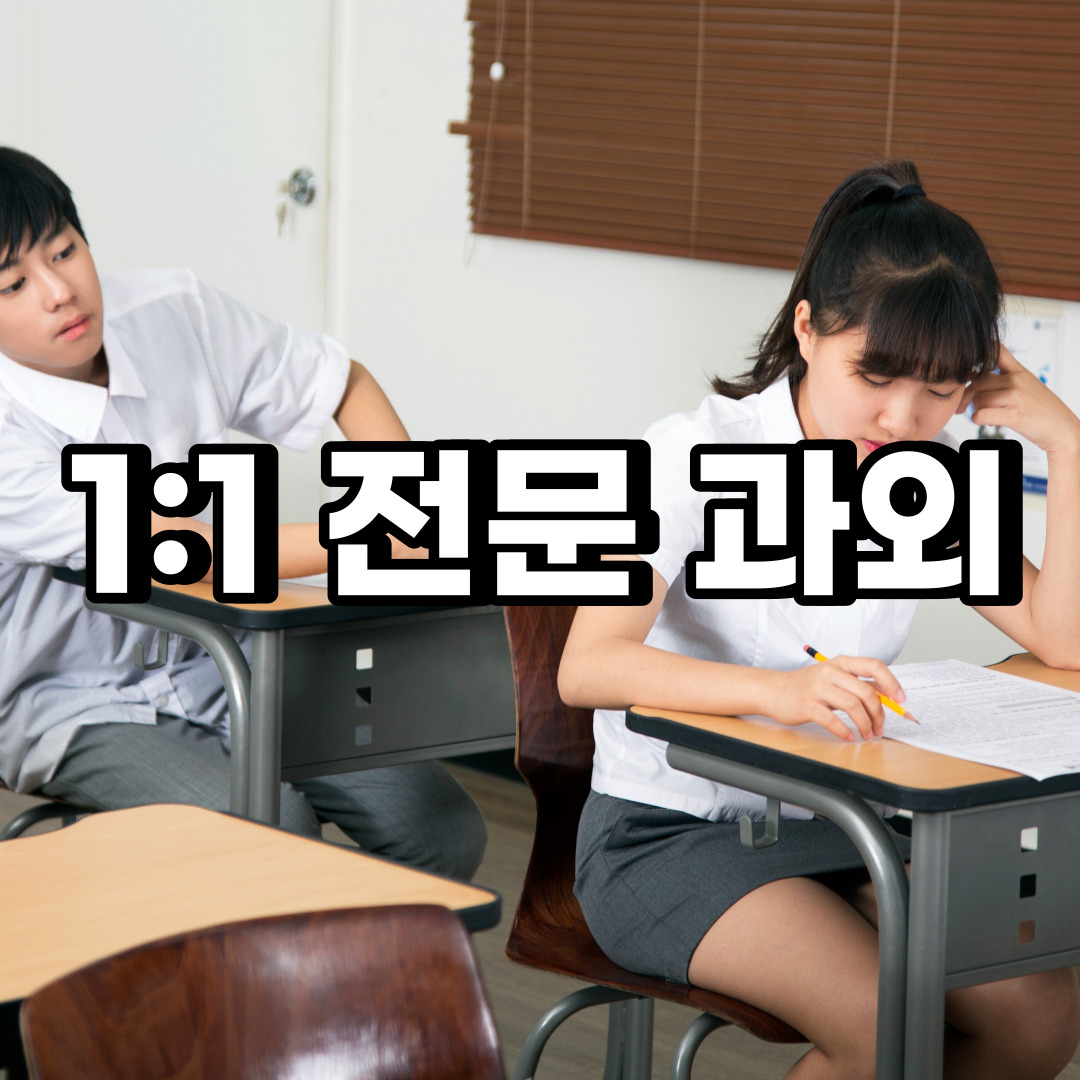  서귀포 초등 영어과외 중구 동구 중학생 중등 고등 국어 수학과외