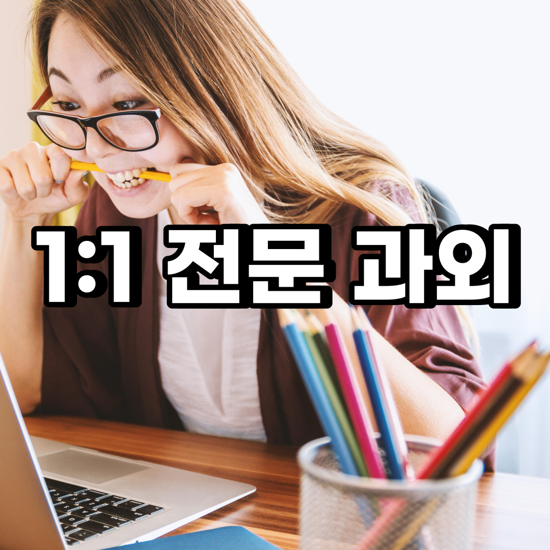  인제 초등 영어과외 고성 양양 중학생 중등 고등 국어 수학과외