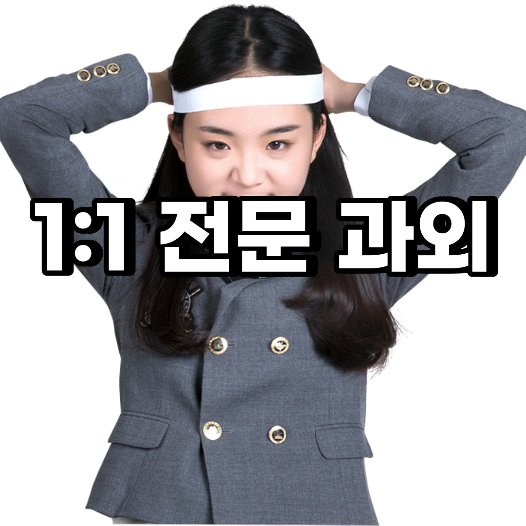 평택 초등 영어과외 오성면 현덕면 중등 고등 국어 수학과외 검정고시