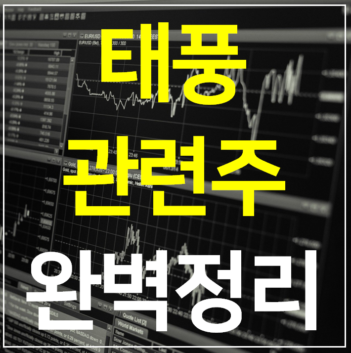  태풍 힌남노 관련주 대장주 TOP 8 완벽 정리