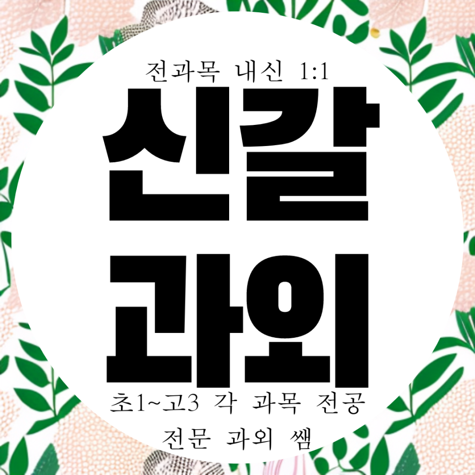  신갈고 내신 수학  전문 영어 학원 전과목 영수 과외 고등 중학생 방문